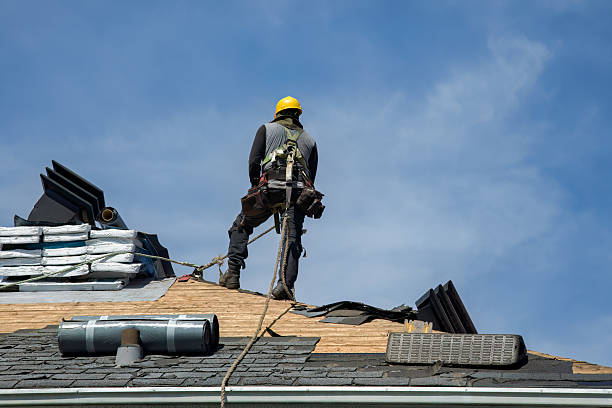 Professional Roof Repair technician working in Marshall, VA